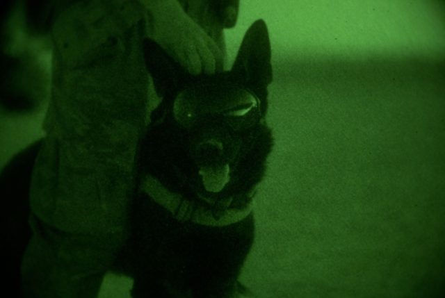 military working dog goggles