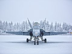 Finnish Air Force Hornet