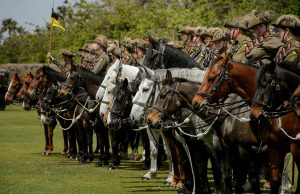 10th Light Horse Regiment re-establishment