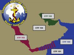 Combined Task Force (CTF) 154